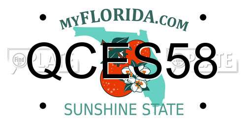 QCES58 Florida License Plate