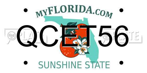 QCET56 Florida License Plate