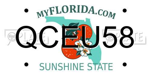 QCEU58 Florida License Plate