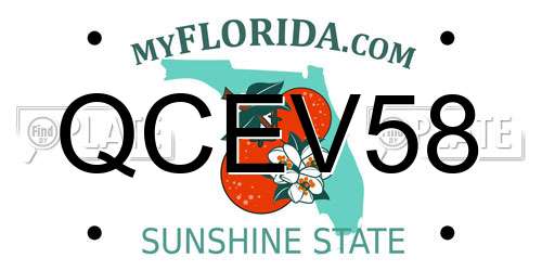 QCEV58 Florida License Plate