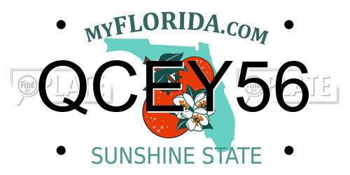 QCEY56 Florida License Plate