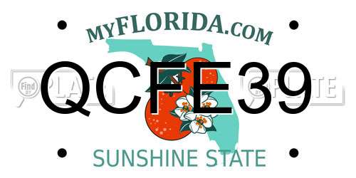 QCFE39 Florida License Plate