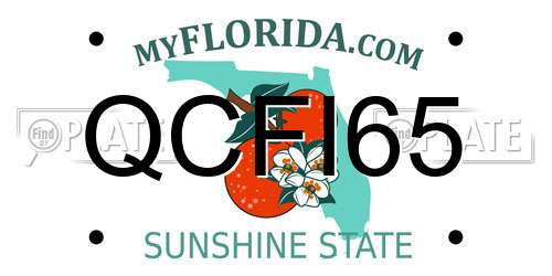 QCFI65 Florida License Plate