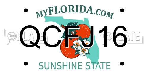 QCFJ16 Florida License Plate