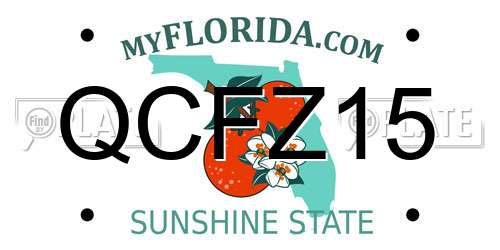 QCFZ15 Florida License Plate
