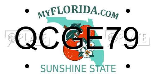 QCGE79 Florida License Plate