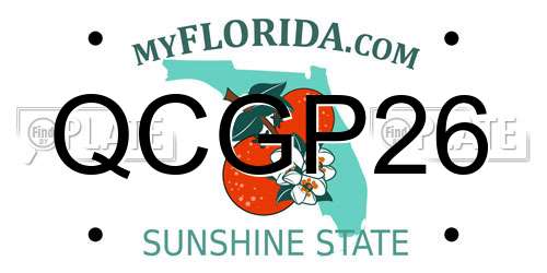 QCGP26 Florida License Plate