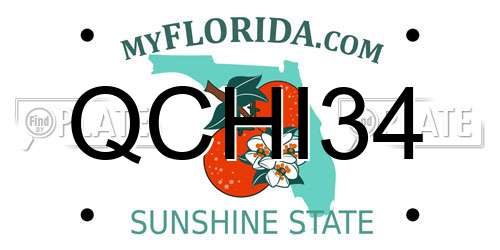 QCHI34 Florida License Plate