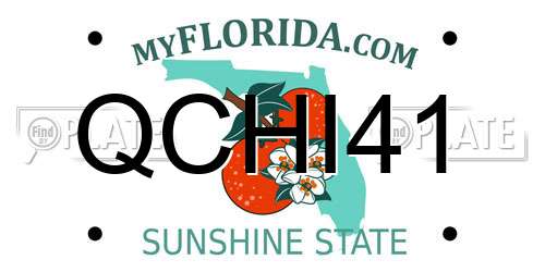 QCHI41 Florida License Plate