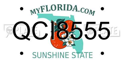 QCI8555 Florida License Plate