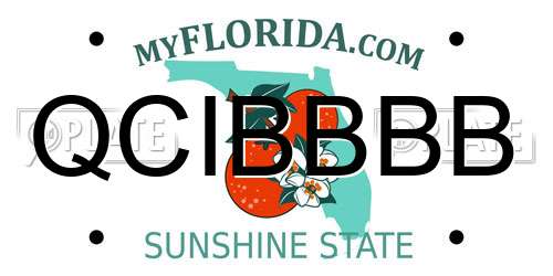 QCIBBBB Florida License Plate