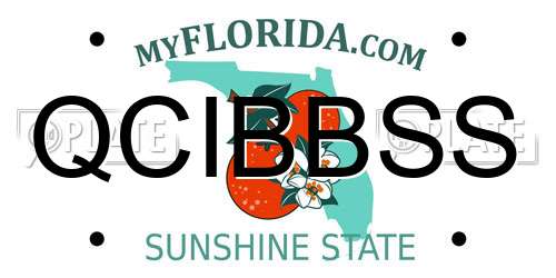 QCIBBSS Florida License Plate