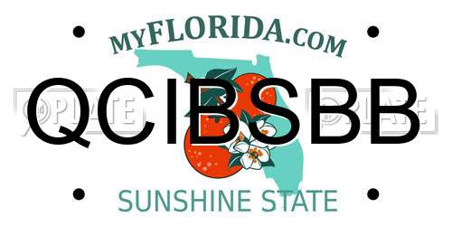 QCIBSBB Florida License Plate