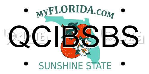 QCIBSBS Florida License Plate