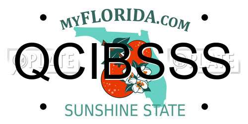 QCIBSSS Florida License Plate
