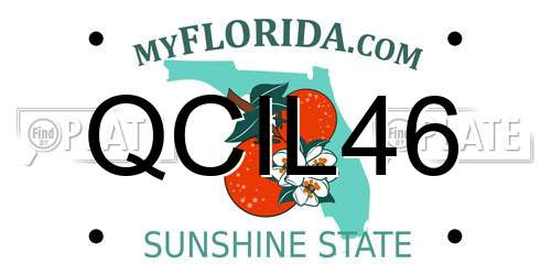 QCIL46 Florida License Plate