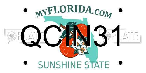 QCIN31 Florida License Plate