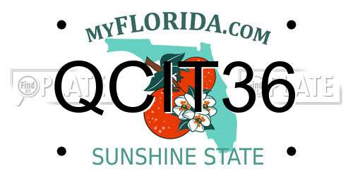 QCIT36 Florida License Plate