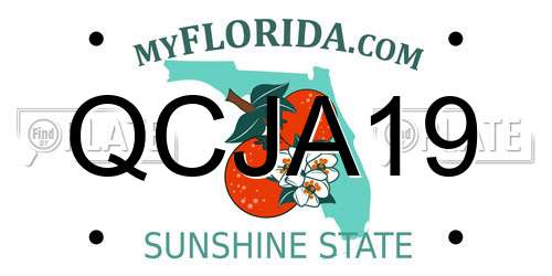 QCJA19 Florida License Plate