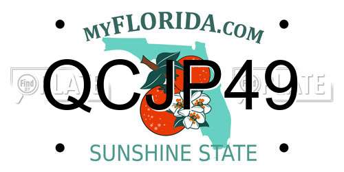 QCJP49 Florida License Plate