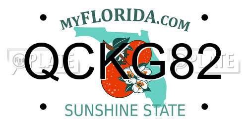 QCKG82 Florida License Plate
