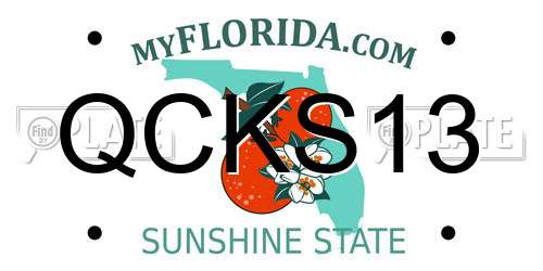 QCKS13 Florida License Plate