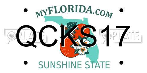 QCKS17 Florida License Plate