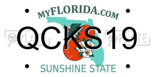 QCKS19 Florida License Plate