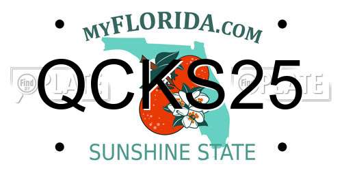 QCKS25 Florida License Plate