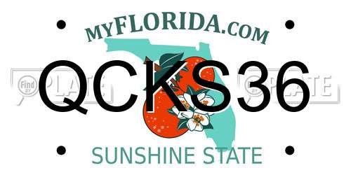 QCKS36 Florida License Plate