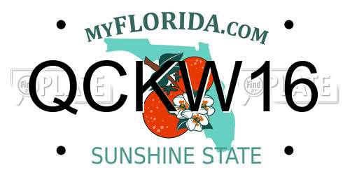 QCKW16 Florida License Plate