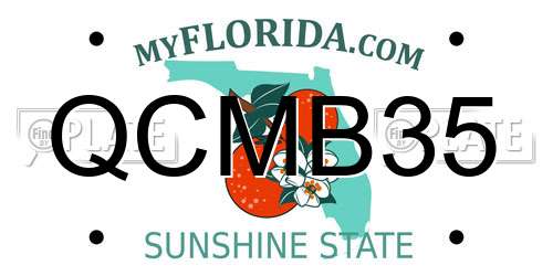 QCMB35 Florida License Plate