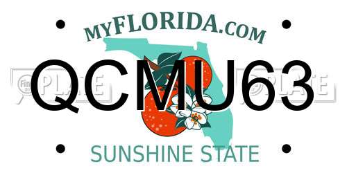 QCMU63 Florida License Plate