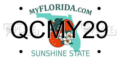 QCMY29 Florida License Plate
