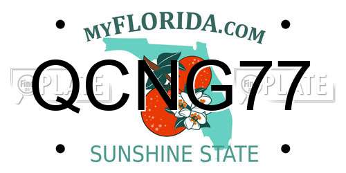 QCNG77 Florida License Plate