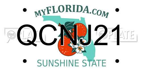 QCNJ21 Florida License Plate