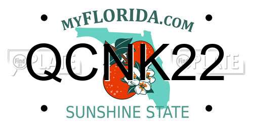 QCNK22 Florida License Plate