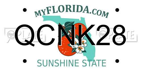 QCNK28 Florida License Plate