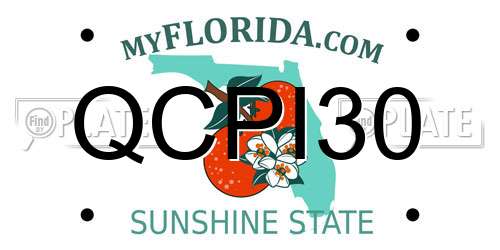 QCPI30 Florida License Plate