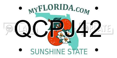 QCPJ42 Florida License Plate