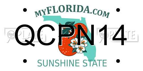 QCPN14 Florida License Plate