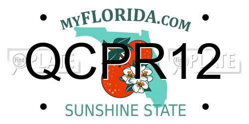 QCPR12 Florida License Plate