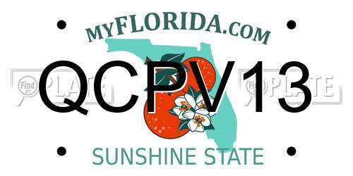 QCPV13 Florida License Plate