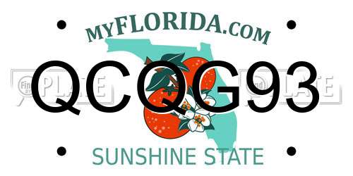 QCQG93 Florida License Plate
