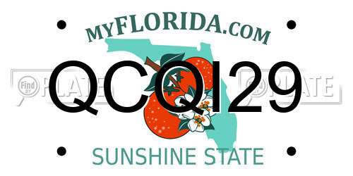 QCQI29 Florida License Plate