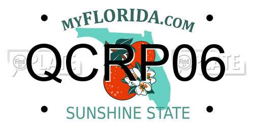 QCRP06 Florida License Plate
