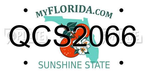 QCS2066 Florida License Plate