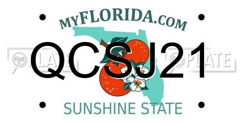 QCSJ21 Florida License Plate