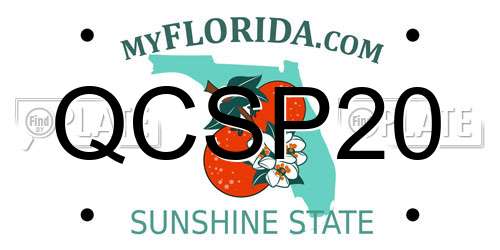 QCSP20 Florida License Plate