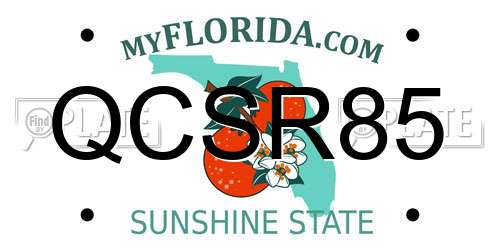 QCSR85 Florida License Plate